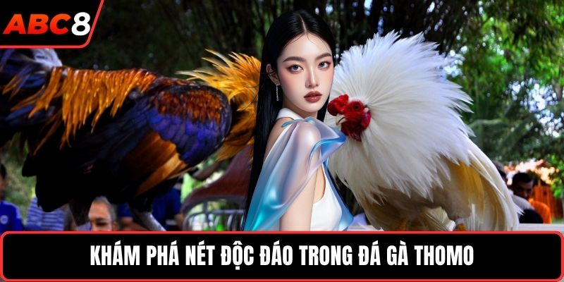 Khám phá nét độc đáo trong đá gà Thomo