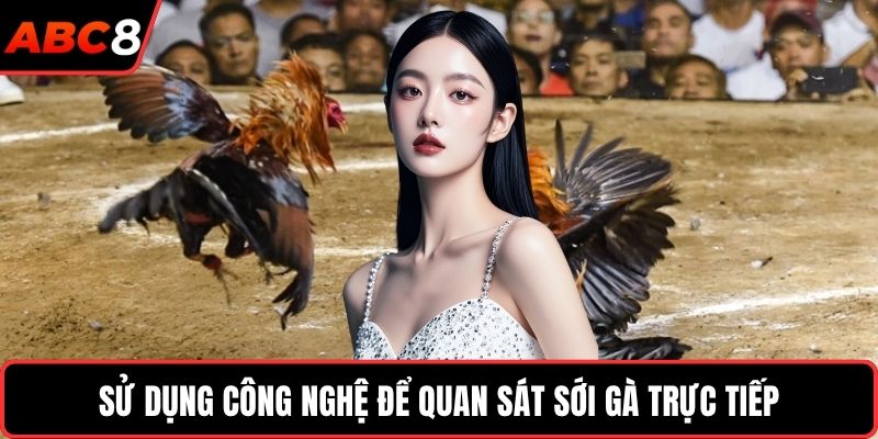 Sử dụng công nghệ để quan sát sới gà trực tiếp