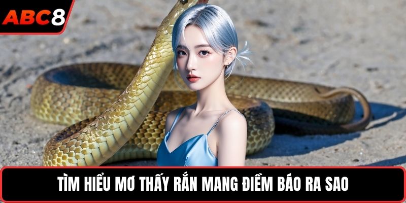 Tìm hiểu mơ thấy rắn mang điềm báo ra sao