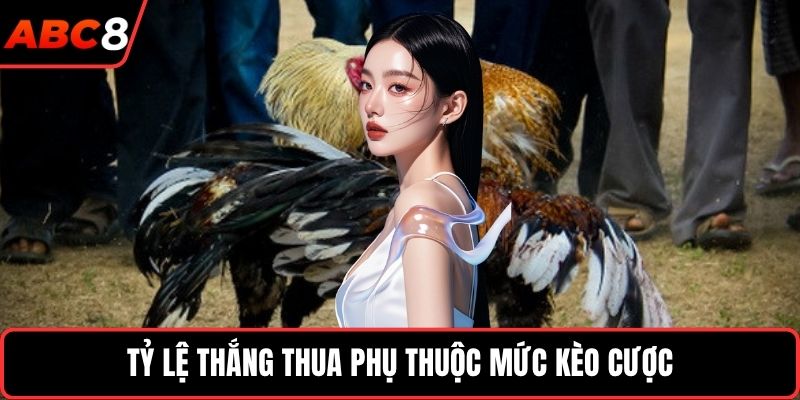 Tỷ lệ thắng thua phụ thuộc mức kèo cược
